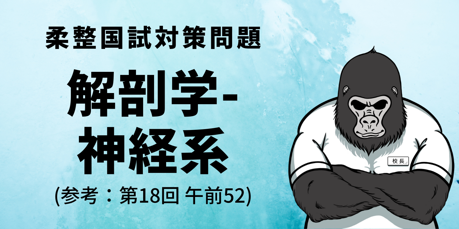 柔整師国家資格対策 第18回 午前52問